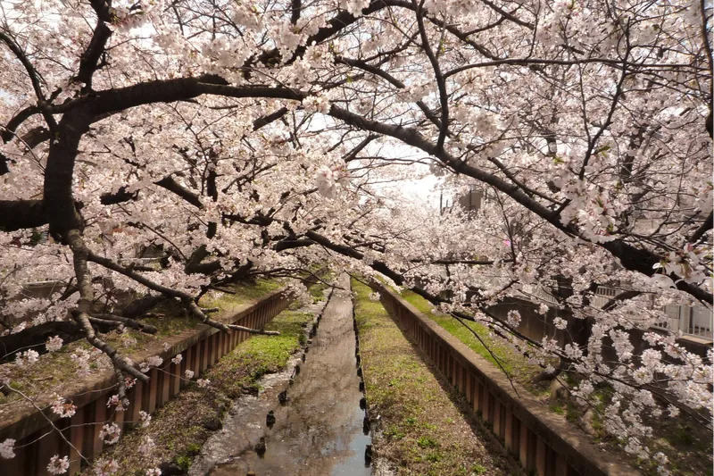 中原平和公園_2