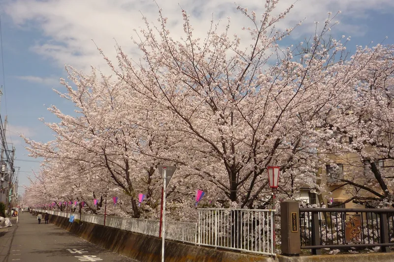 中原平和公園_3