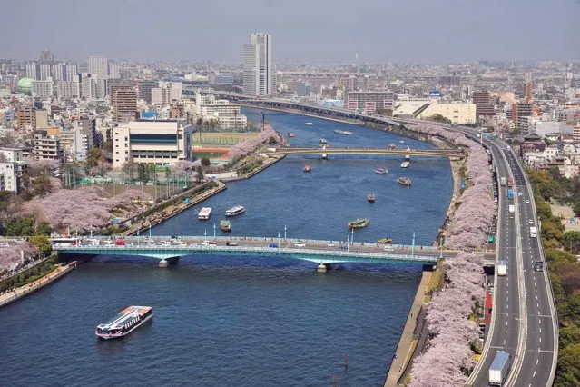 墨田区立隅田公園_3