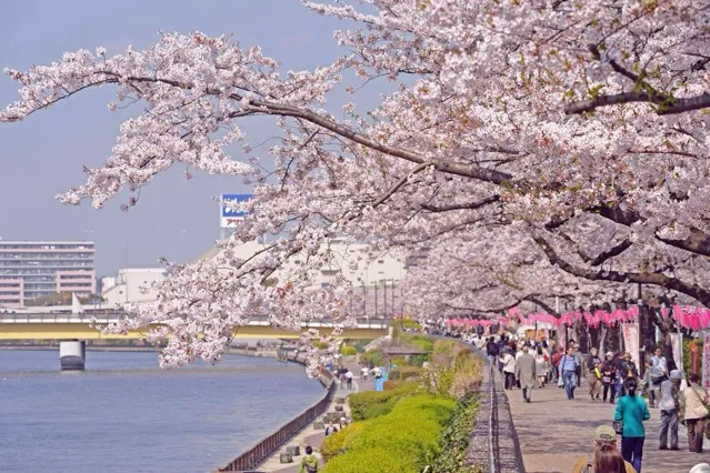 墨田区立隅田公園_2