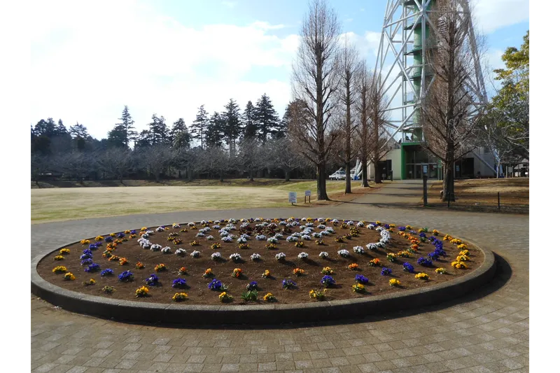 さんぶの森公園_1