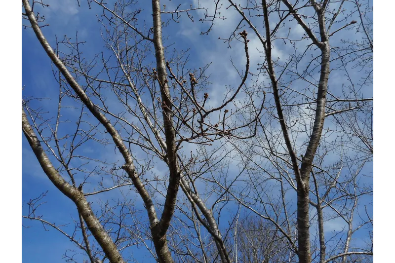 さんぶの森公園_2