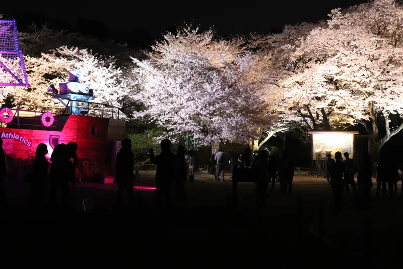 アスレチックの桜ライトアップ