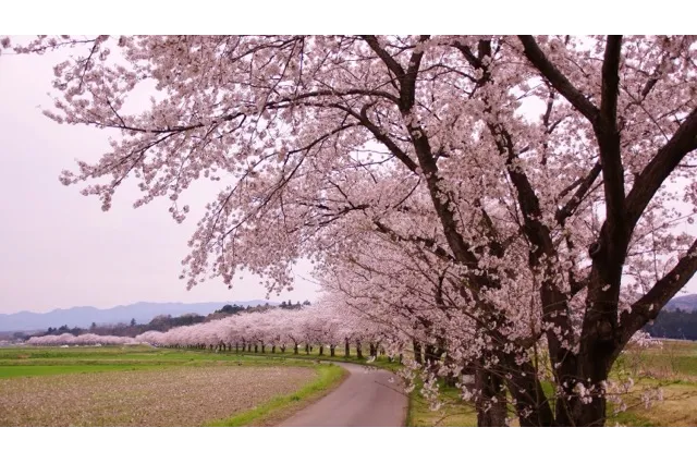 遠くまで連なって見える景色