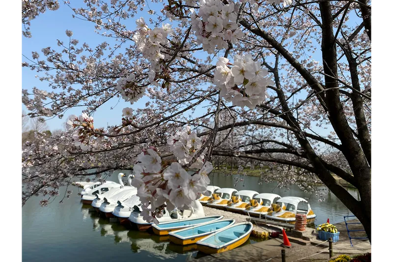 川越公園(川越水上公園)_2