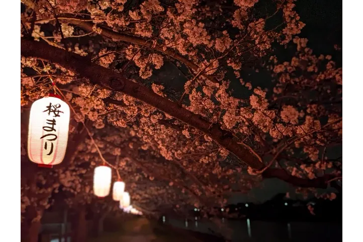 大落古利根川堤_3