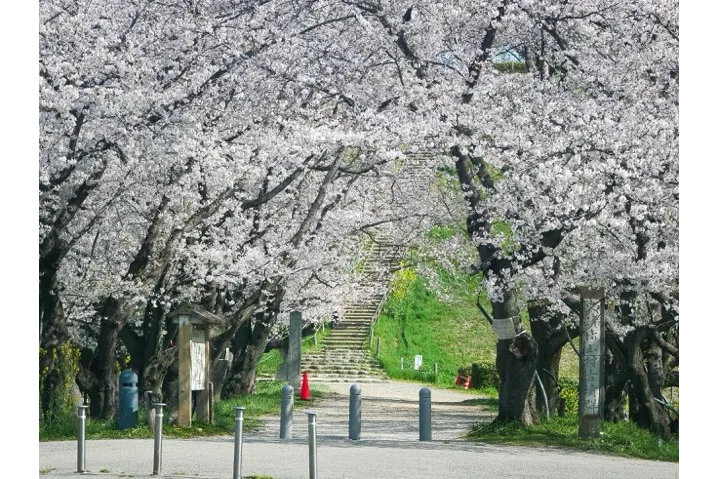 さきたま古墳公園（埼玉古墳群）_1