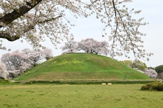 さきたま古墳公園（埼玉古墳群）_2