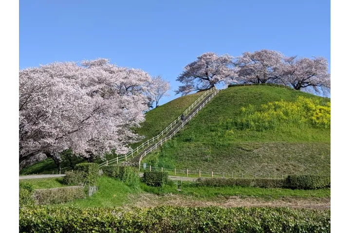 さきたま古墳公園（埼玉古墳群）_3