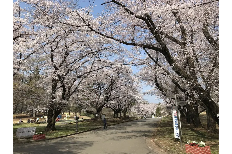狭山稲荷山公園_1