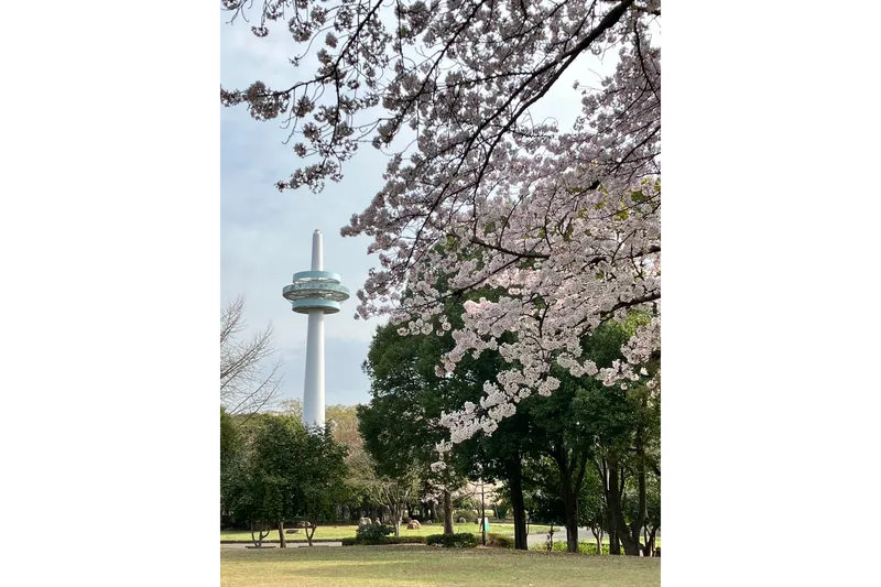 所沢航空記念公園_1
