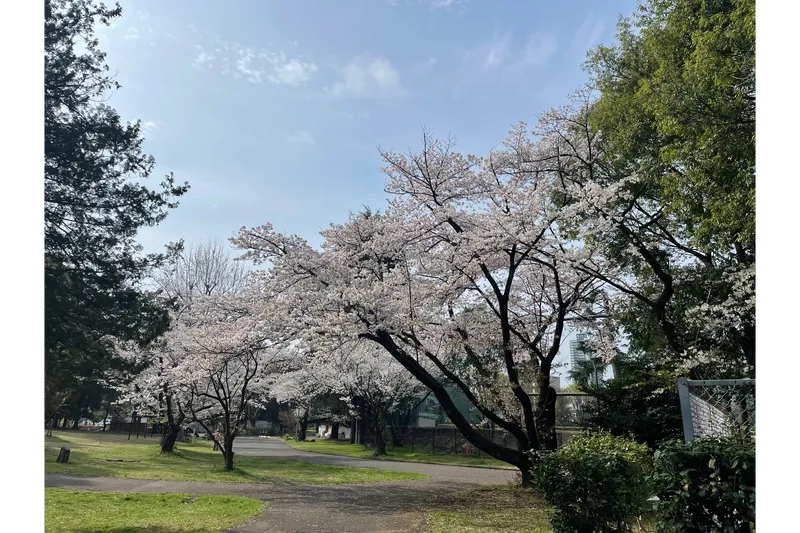 所沢航空記念公園_2