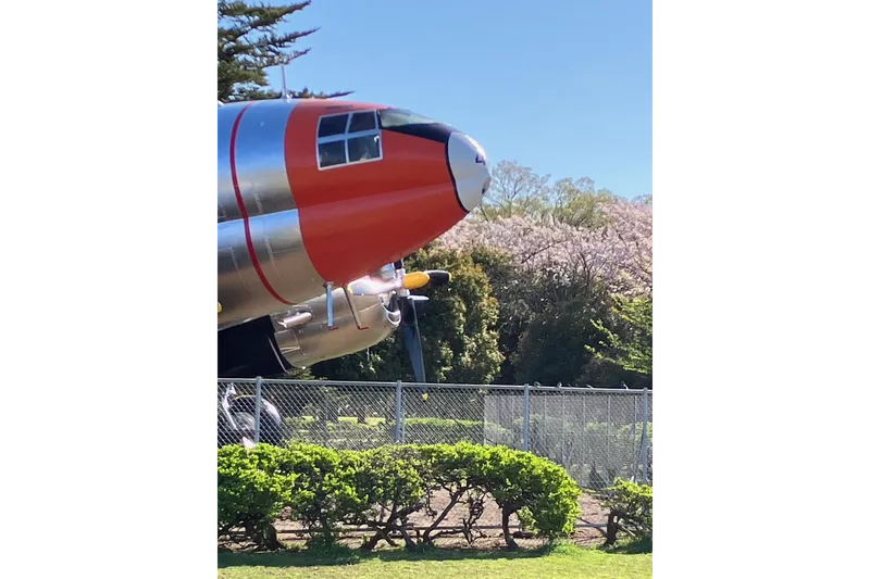所沢航空記念公園_3