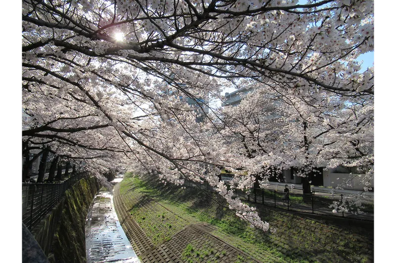 乞田川_1