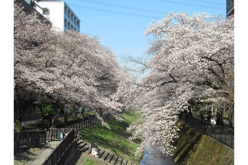 乞田川_2