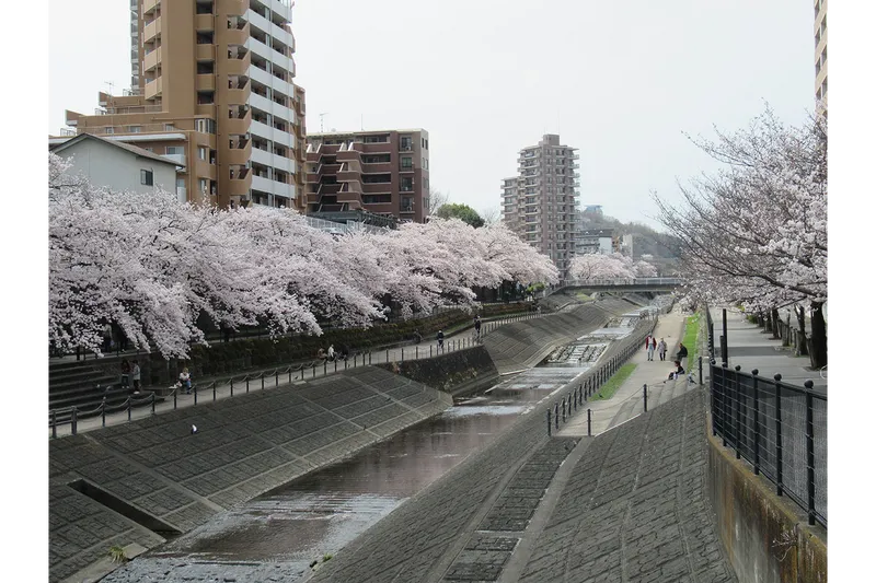 乞田川_3