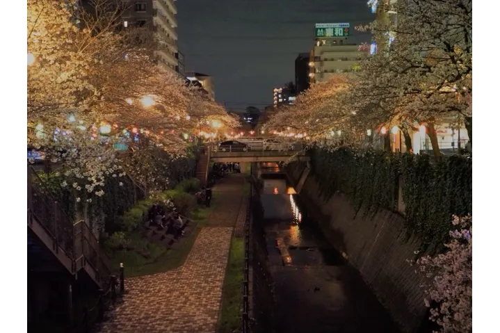 乞田川_4