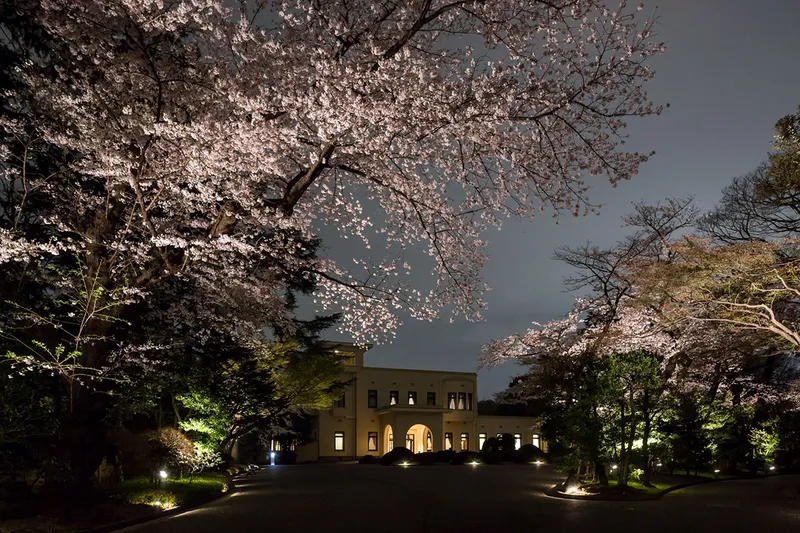東京都庭園美術館の桜・花見情報_2