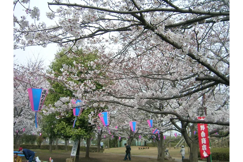 杉戸西近隣公園_1