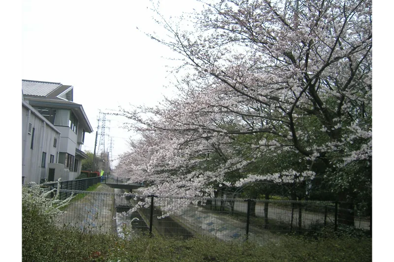 杉戸西近隣公園_2