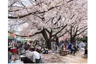 杉戸西近隣公園_3