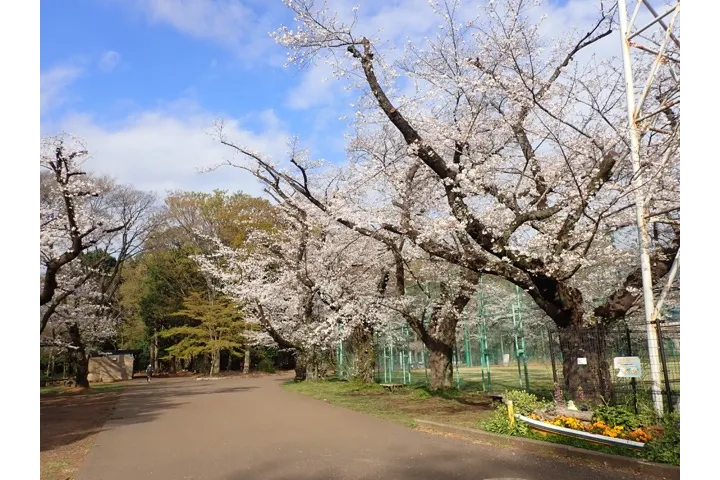 石神井公園_1