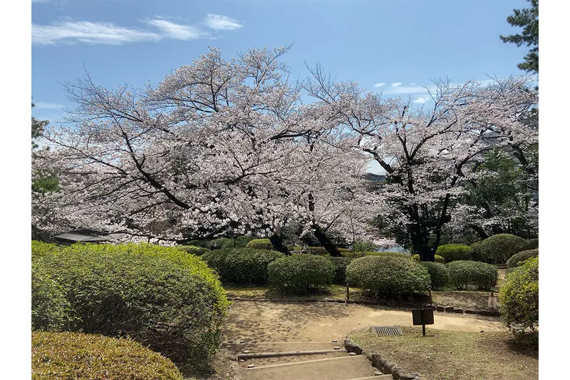 哲学堂公園_2