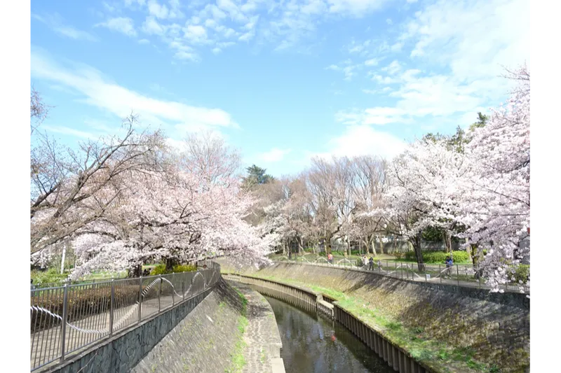 善福寺川緑地