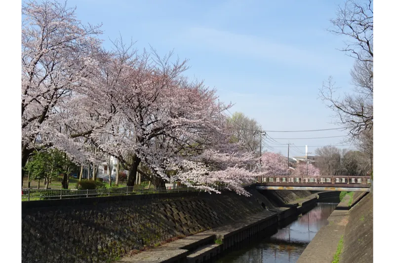 善福寺川緑地_2