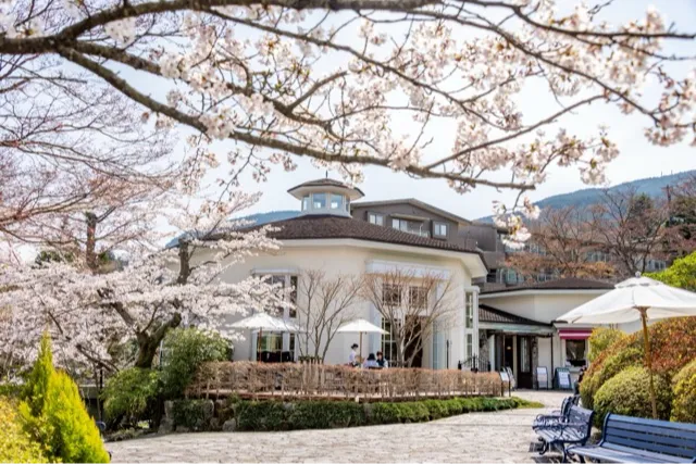 箱根強羅公園_1