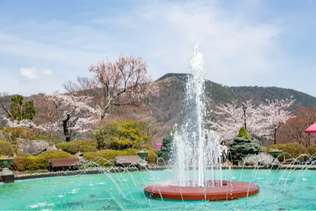 箱根強羅公園_2
