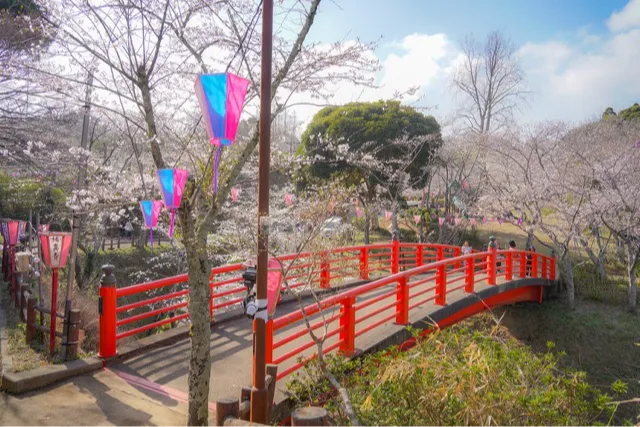 小見川城山公園の桜・花見情報_1