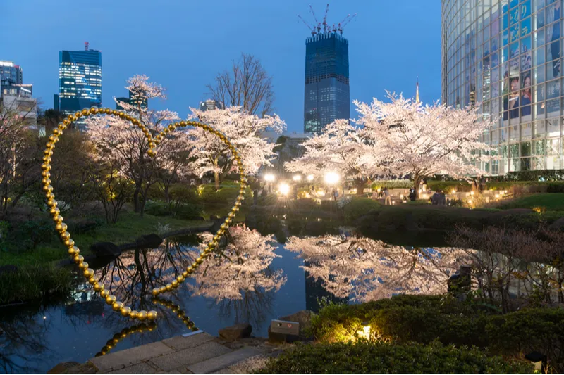 六本木ヒルズの桜・花見情報_2