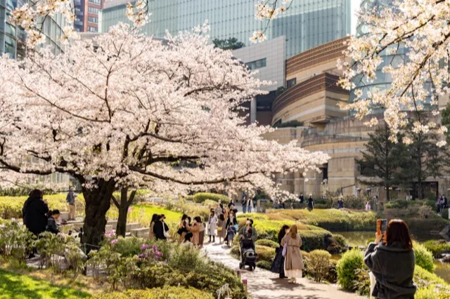 六本木ヒルズ　毛利庭園_2