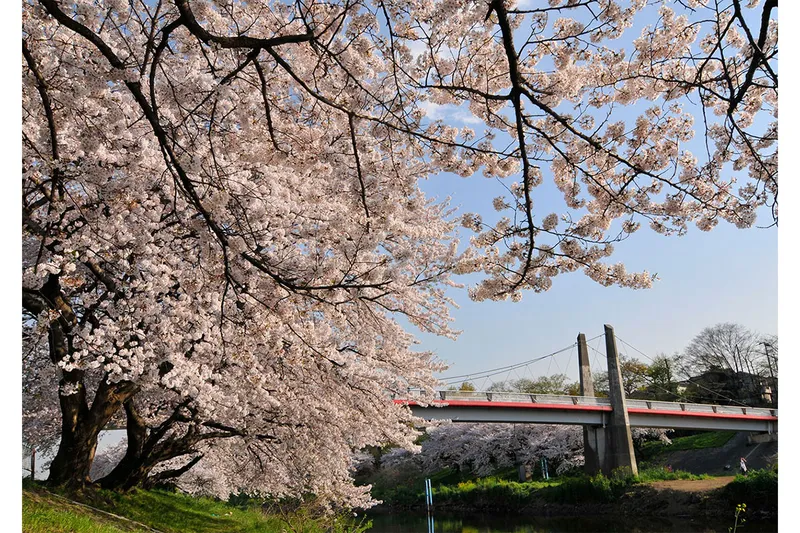 水彩画 F4 埼玉県志木新河岸 志木新河岸川河畔