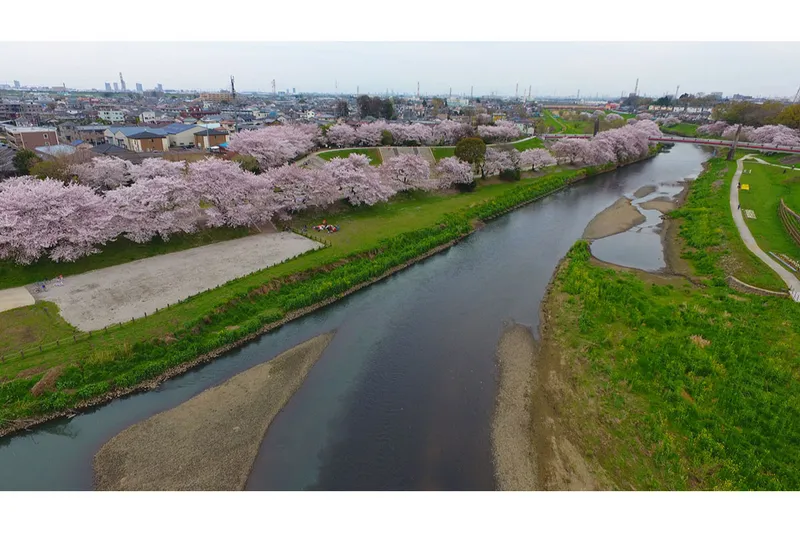 いろは親水公園_1
