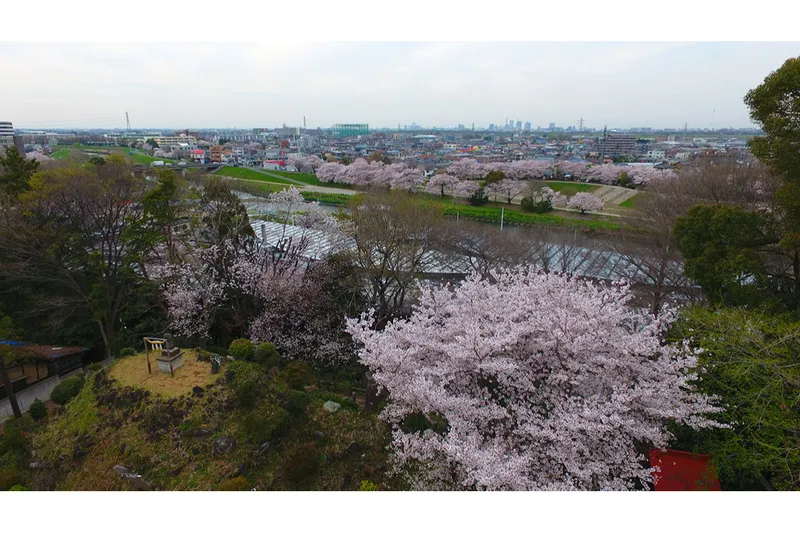 いろは親水公園_2