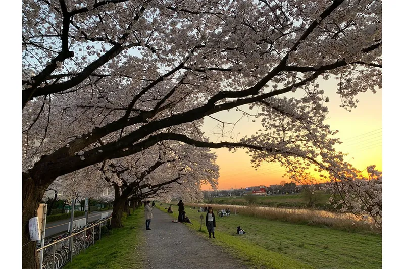 いろは親水公園_4