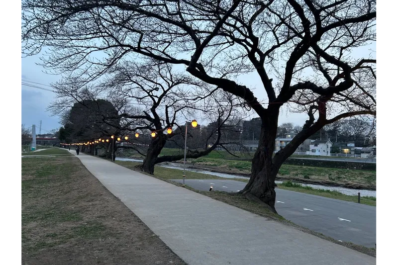 いろは親水公園_6