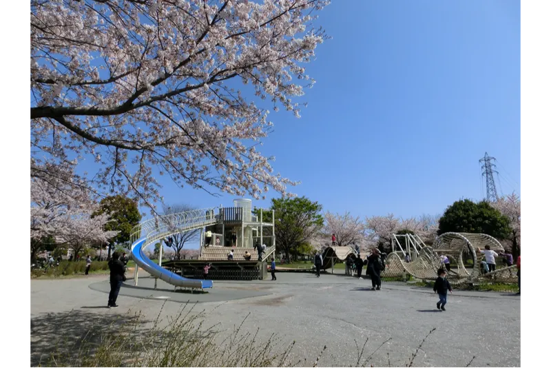 アスレチック広場