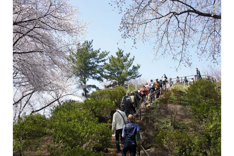 箱根山登山道