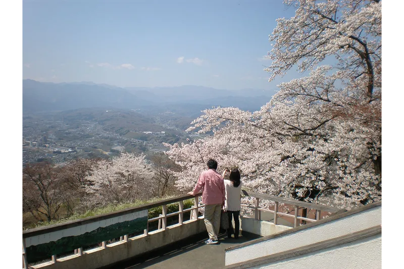 美の山公園_1