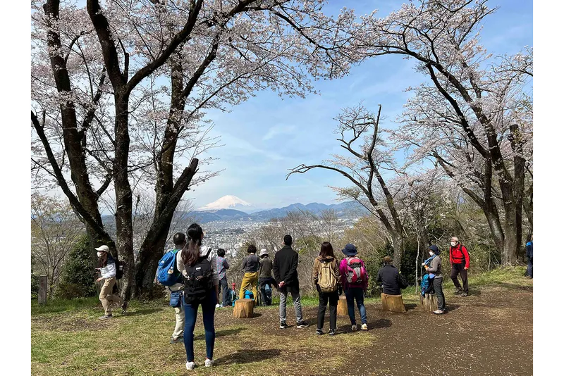 弘法山公園の桜・花見情報_2