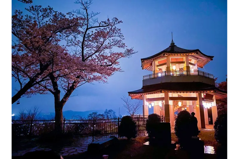 弘法山公園の桜・花見情報_3