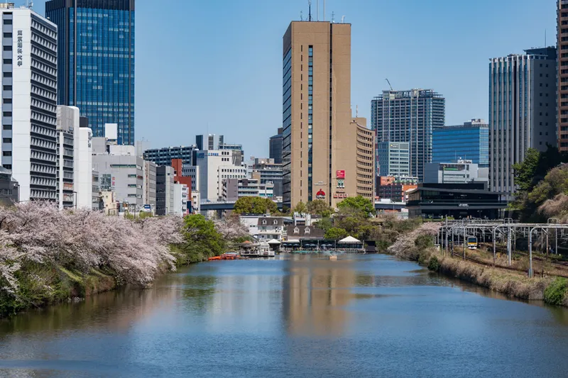 写真提供：千代田区観光協会