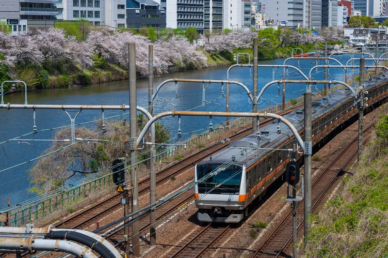 写真提供：千代田区観光協会