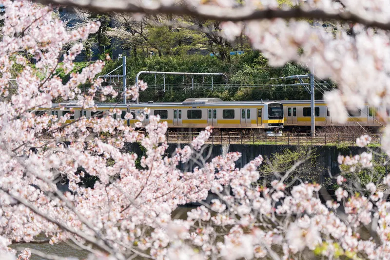 写真提供：千代田区観光協会