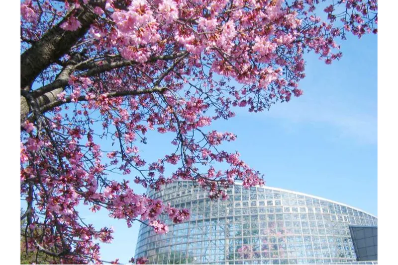 小田原フラワーガーデン_1