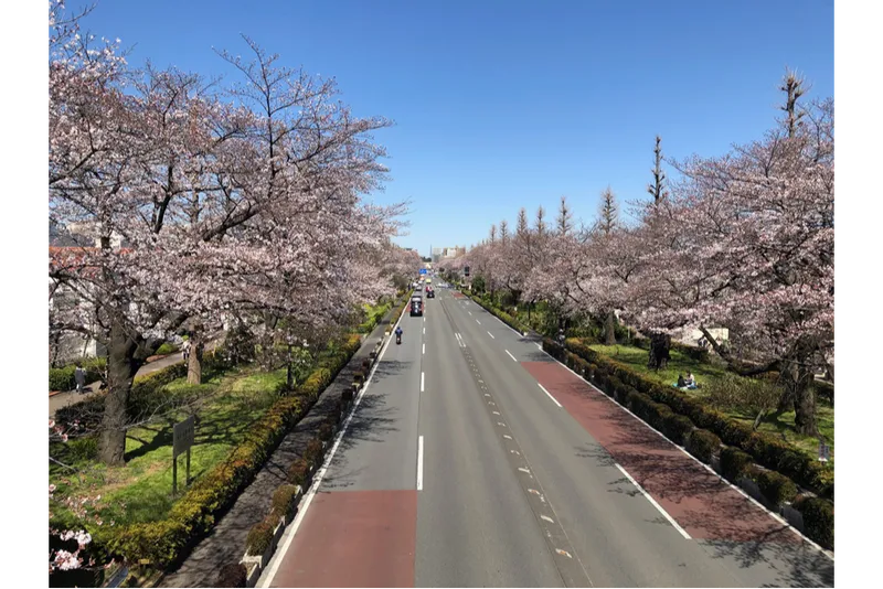 大学通り