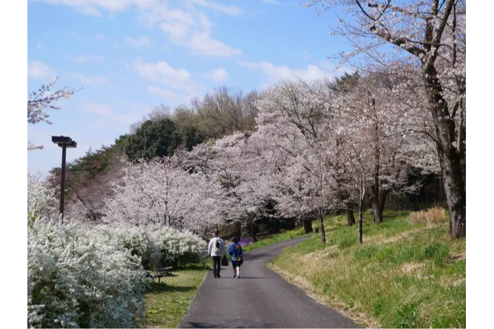 国営武蔵丘陵森林公園_2